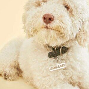 NWT JAECI JEWELRY "Mama's Boy" Pet Tag